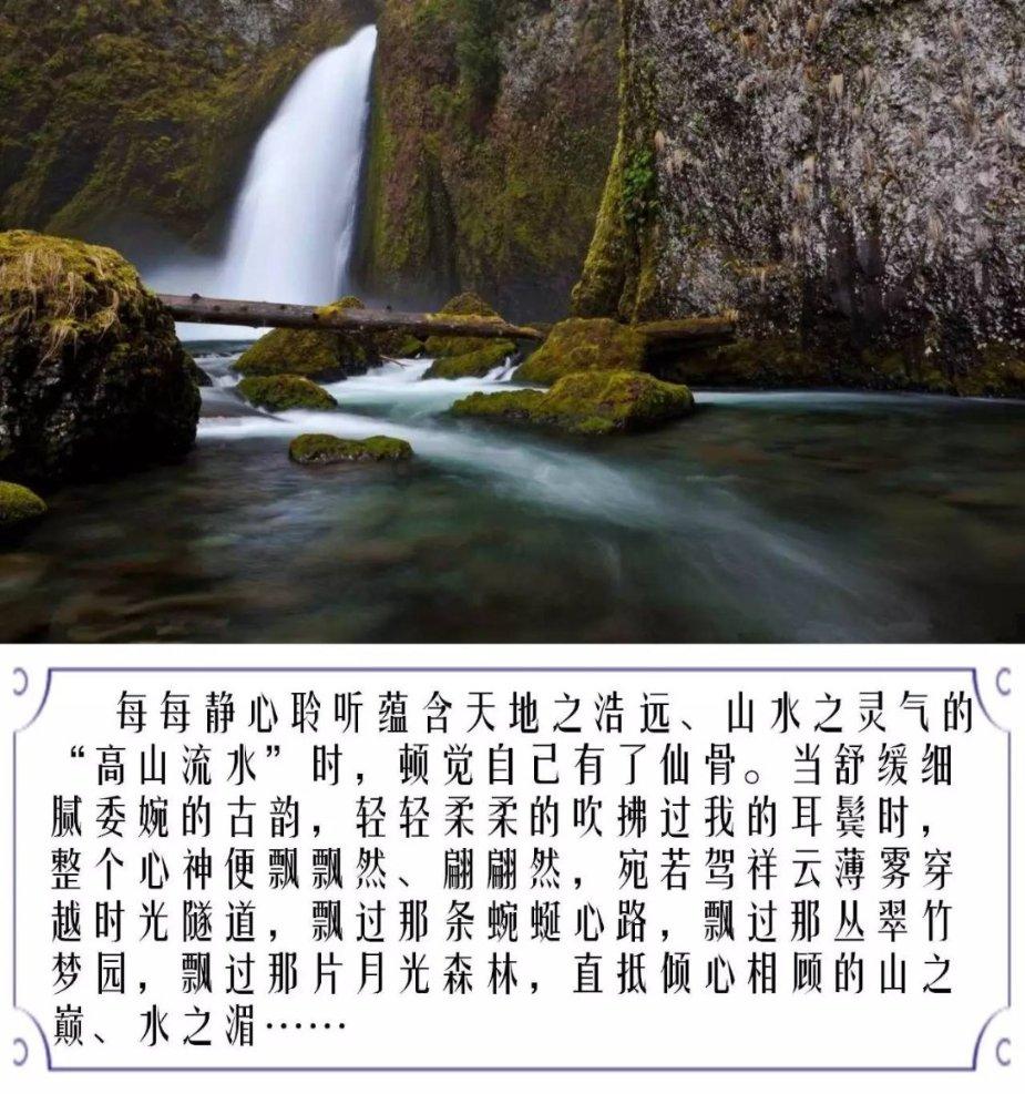 植物大战僵尸5